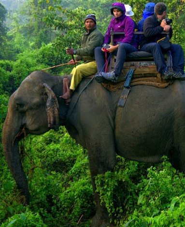 elephant-safari